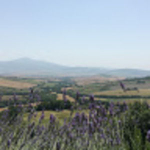 Meet your Posher, Elisabeth